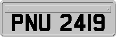 PNU2419