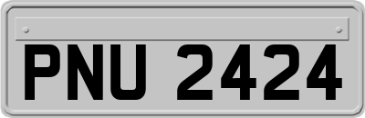PNU2424