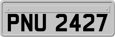 PNU2427