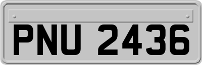PNU2436