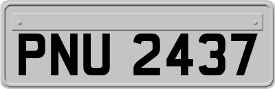 PNU2437