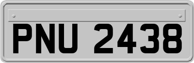 PNU2438