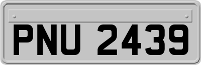 PNU2439