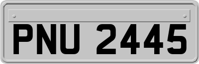 PNU2445