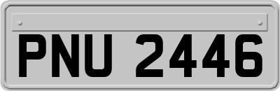 PNU2446