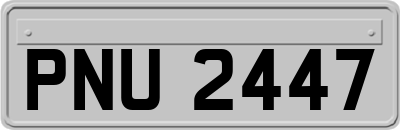 PNU2447