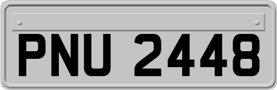 PNU2448