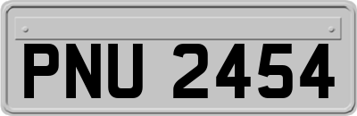 PNU2454