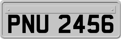 PNU2456