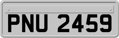PNU2459