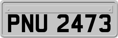 PNU2473