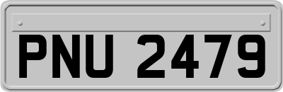 PNU2479