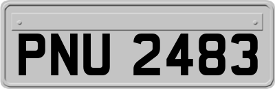 PNU2483