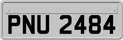 PNU2484