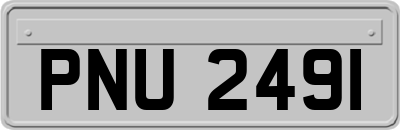 PNU2491