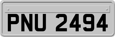 PNU2494