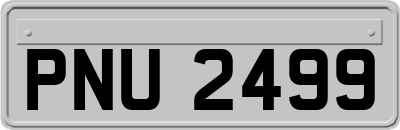 PNU2499