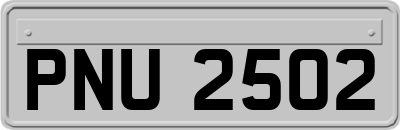 PNU2502