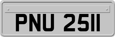 PNU2511