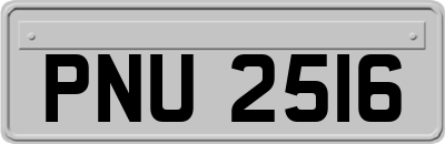 PNU2516