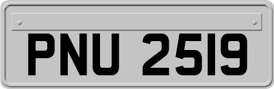 PNU2519