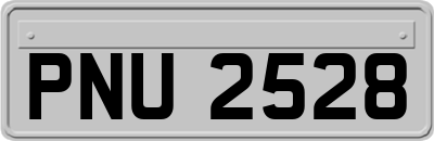 PNU2528