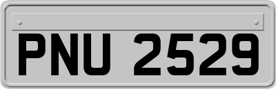 PNU2529