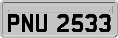 PNU2533