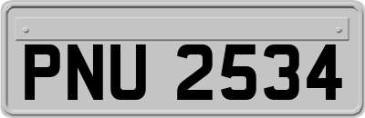 PNU2534