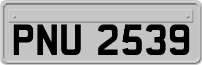 PNU2539