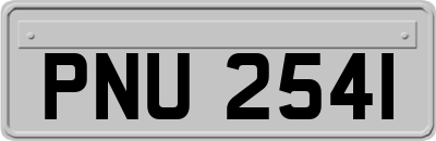 PNU2541