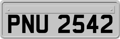 PNU2542