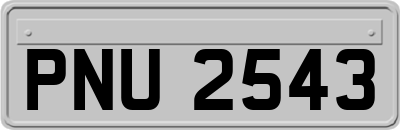 PNU2543