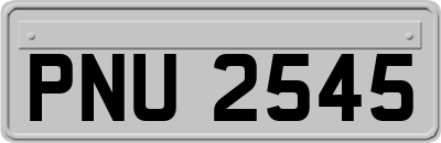 PNU2545