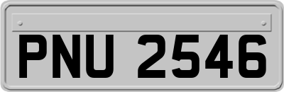 PNU2546