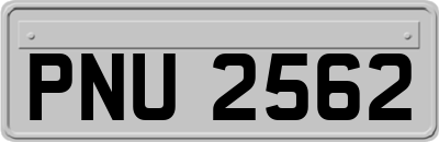 PNU2562