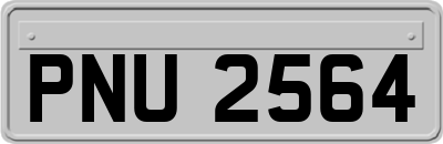 PNU2564