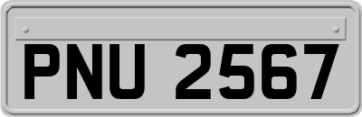 PNU2567