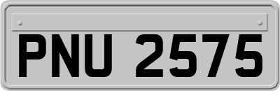 PNU2575