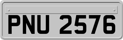 PNU2576