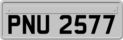 PNU2577
