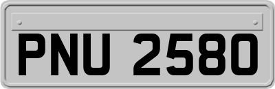 PNU2580