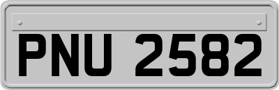 PNU2582