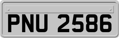 PNU2586