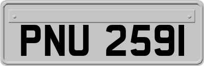 PNU2591