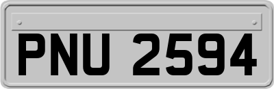 PNU2594