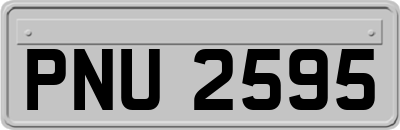 PNU2595