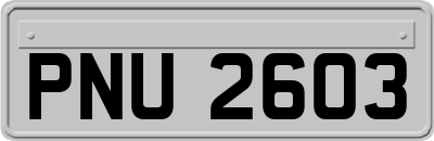 PNU2603