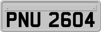 PNU2604