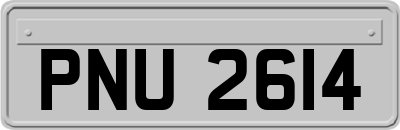 PNU2614